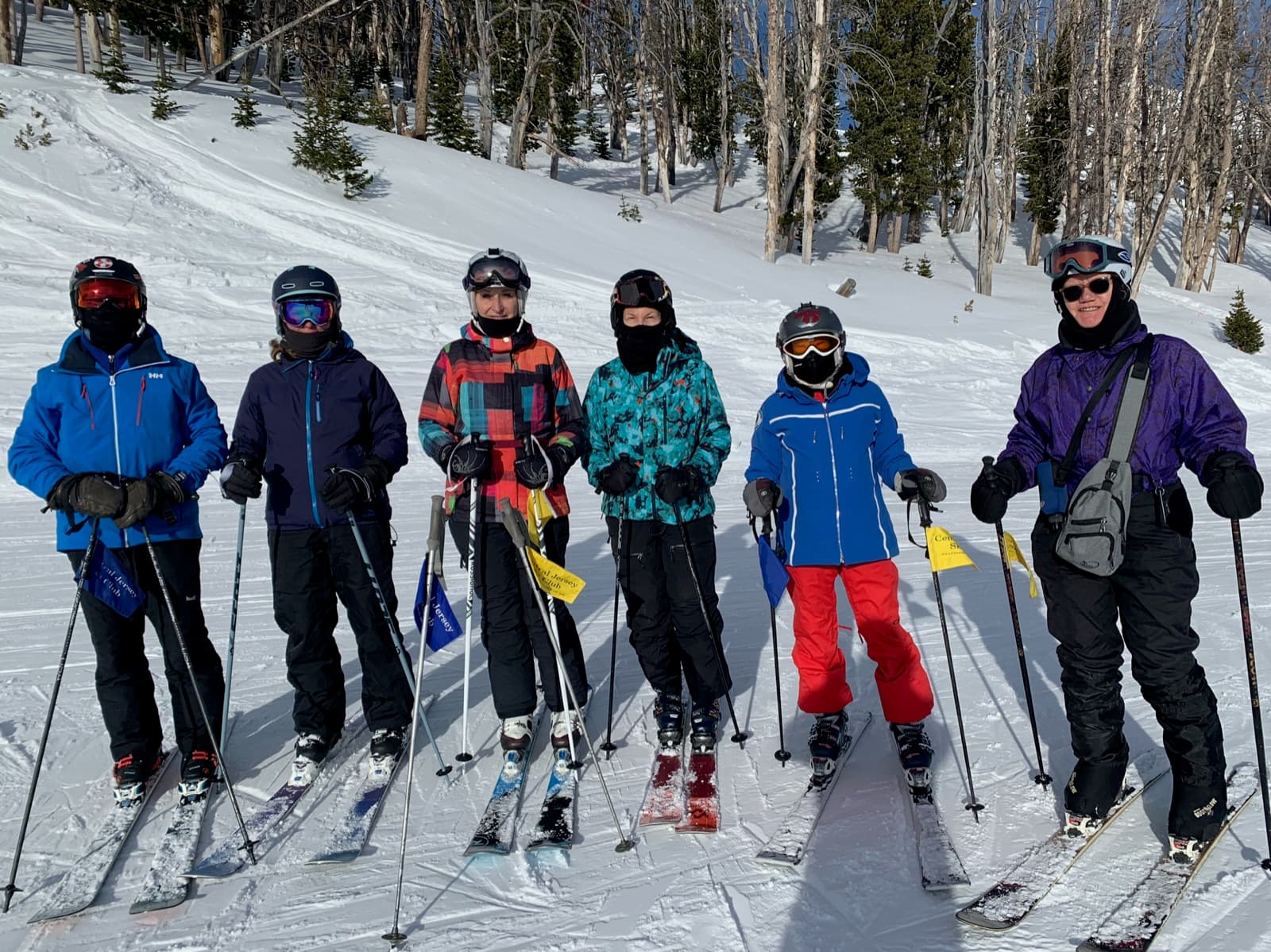Six skiers lined up in the trees, ready to drop