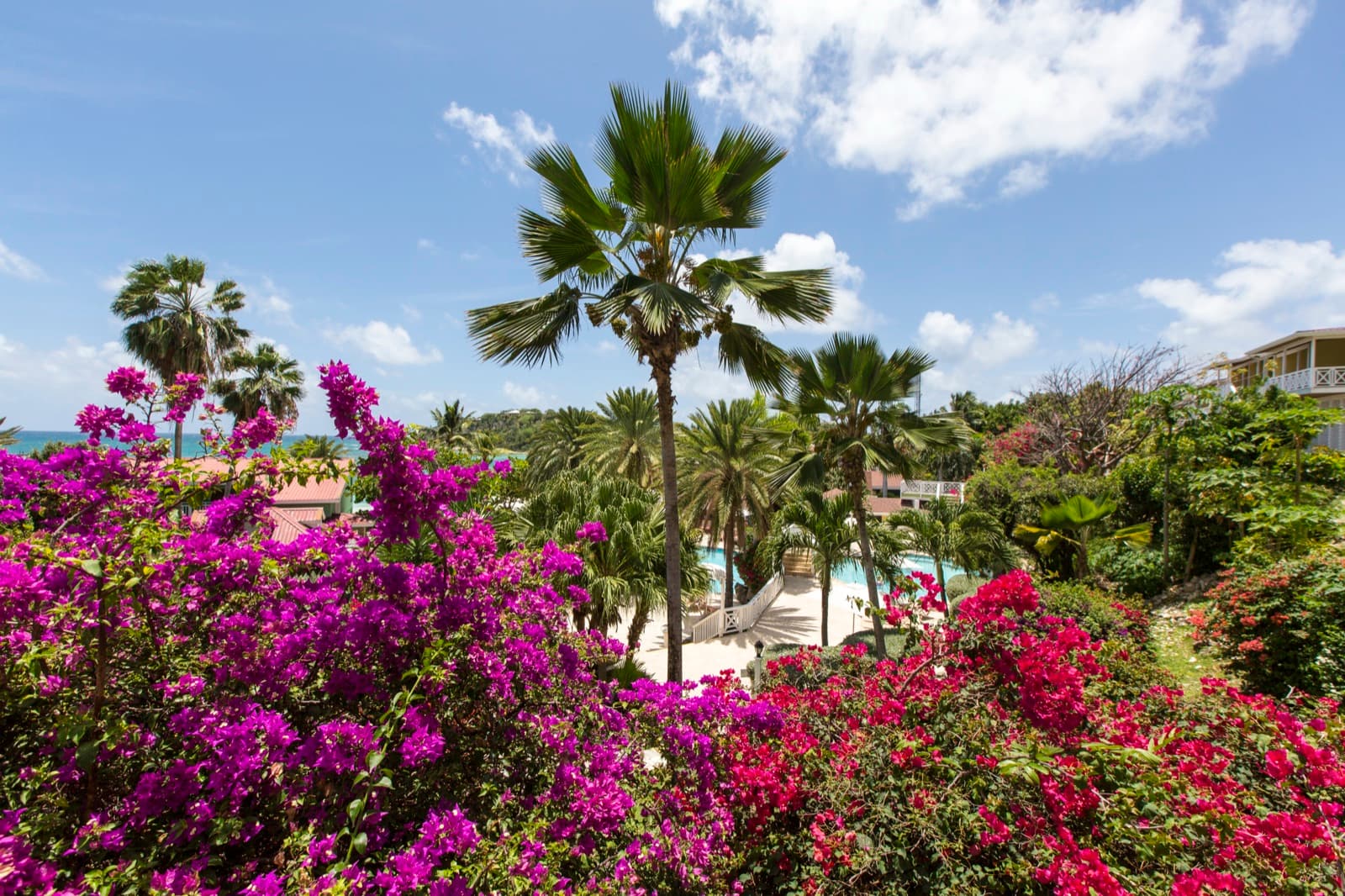 Tropical gardens and grounds at Pineapple Beach Club
