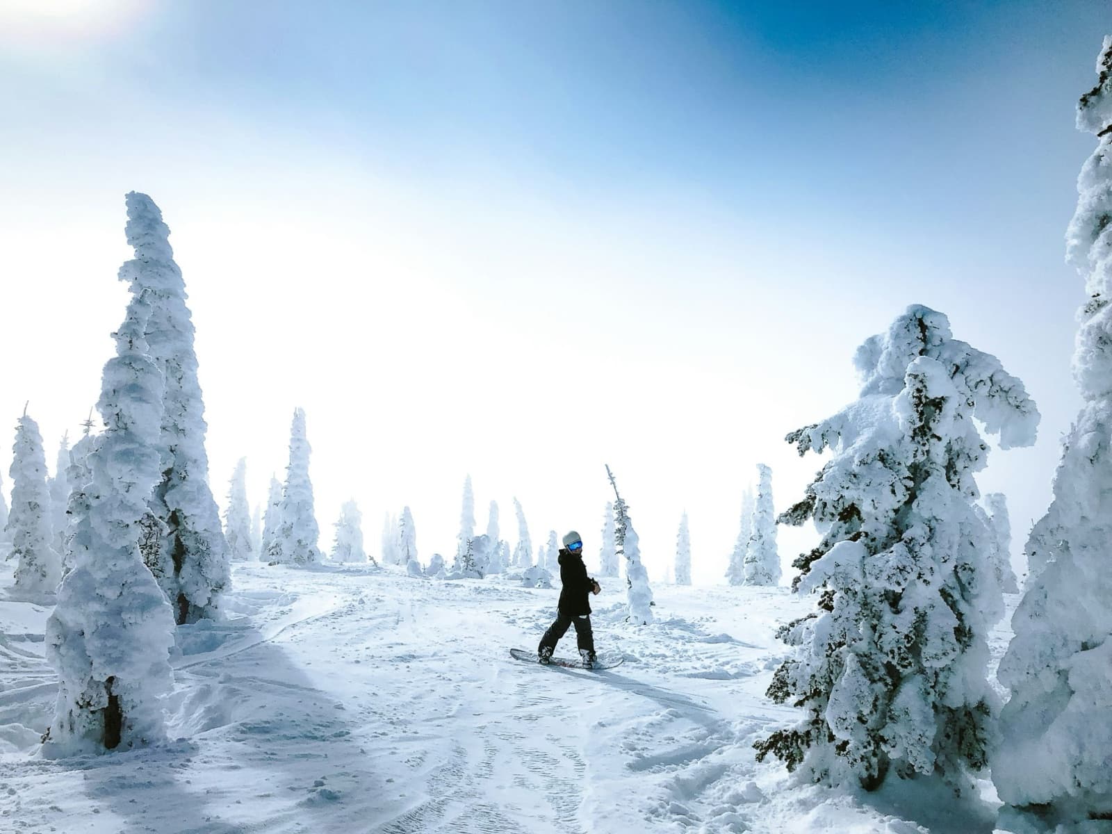 A snowboarder gliding between snow-covered ghost trees on Whitefish Mountain under a blue sky