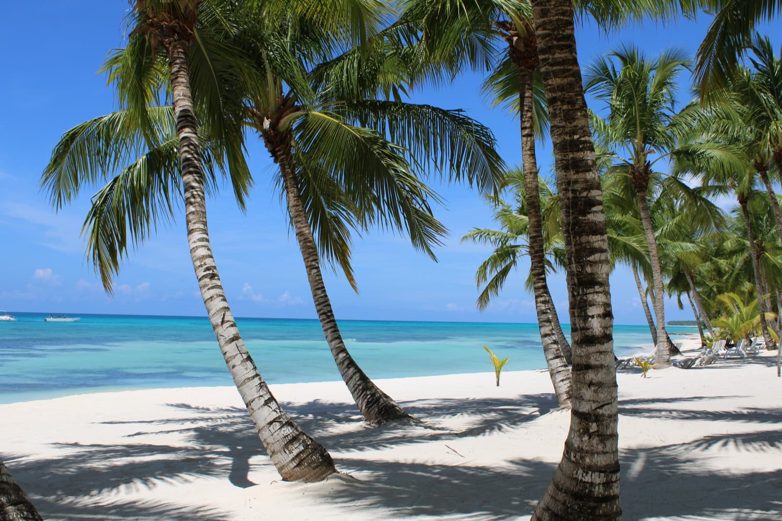 Palm-lined white-sand beach and turquoise water