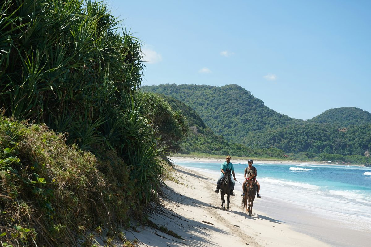 Travelers horseback riding along a tropical beach