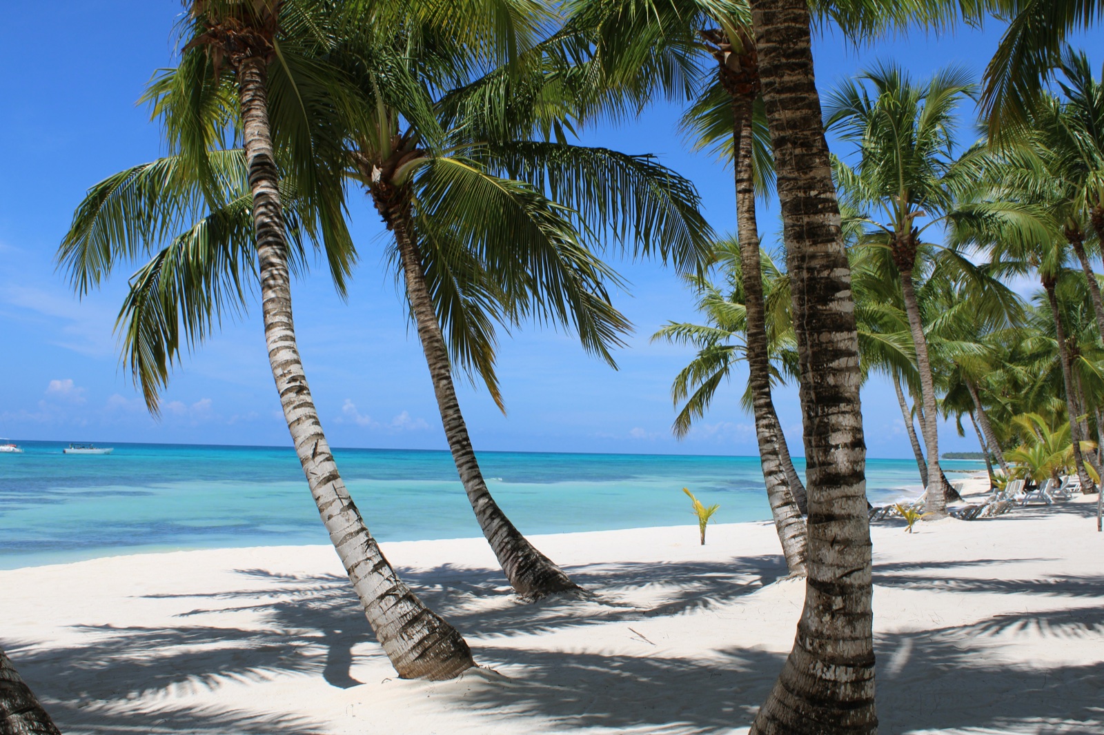 Palm-lined white-sand beach and turquoise water