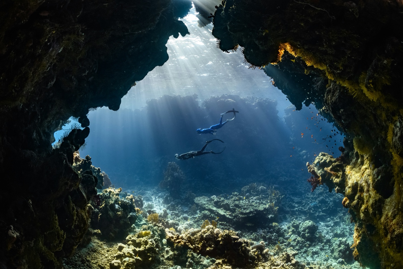 Divers gliding through sunbeams over a coral reef