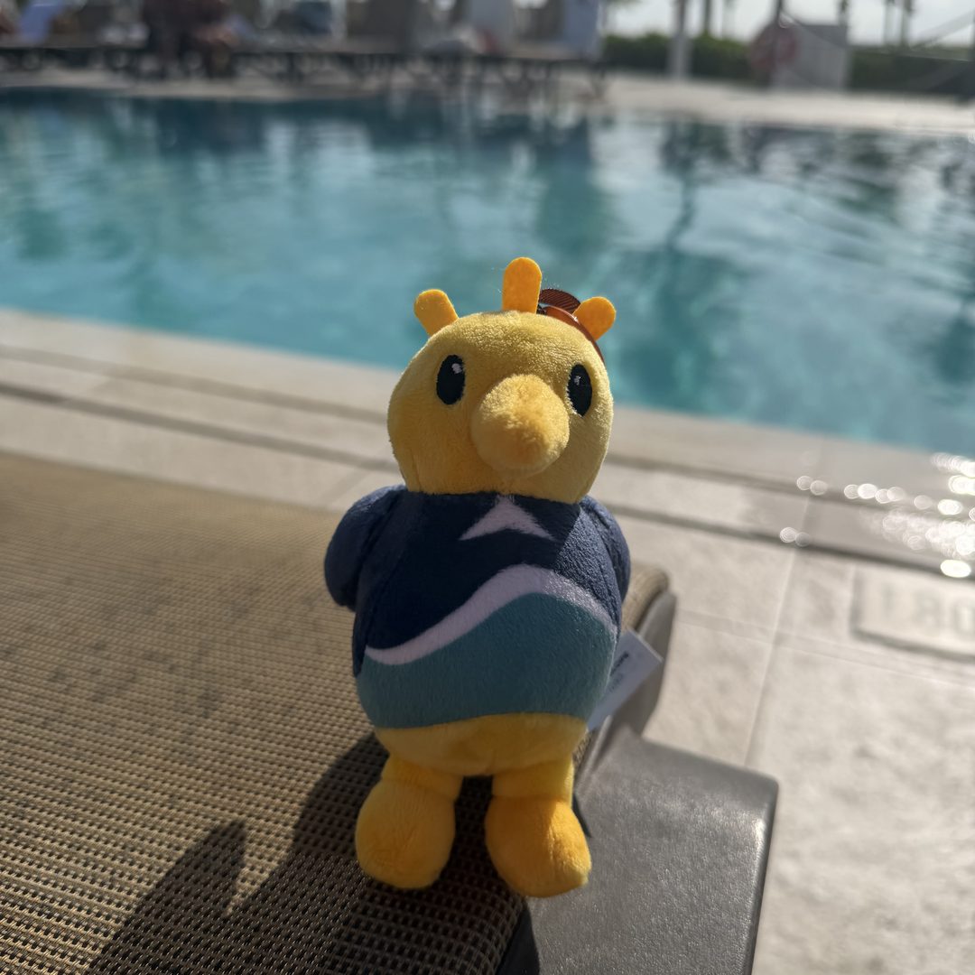 Sandigo — Poolside, obviously