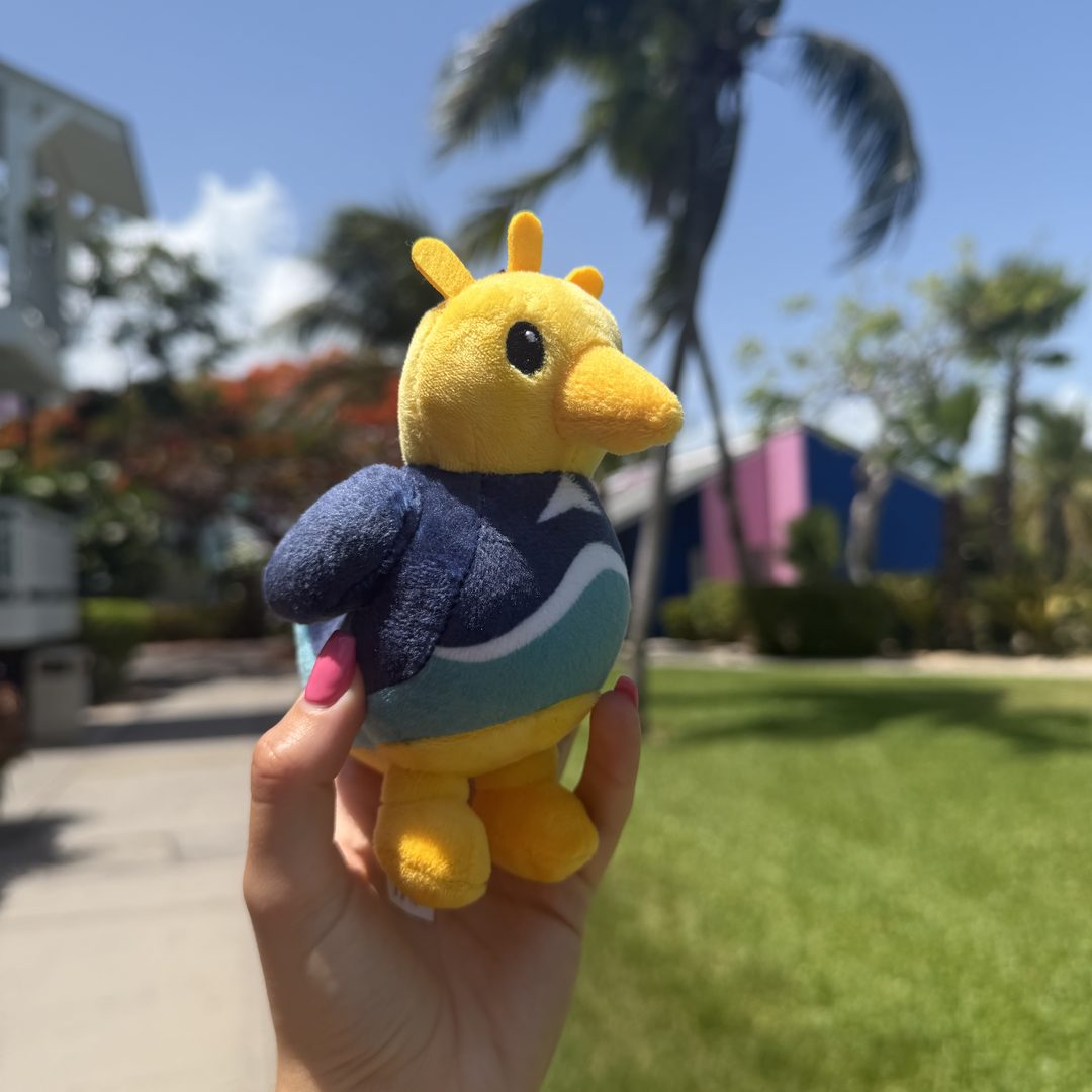 Sandigo — Postcard-perfect