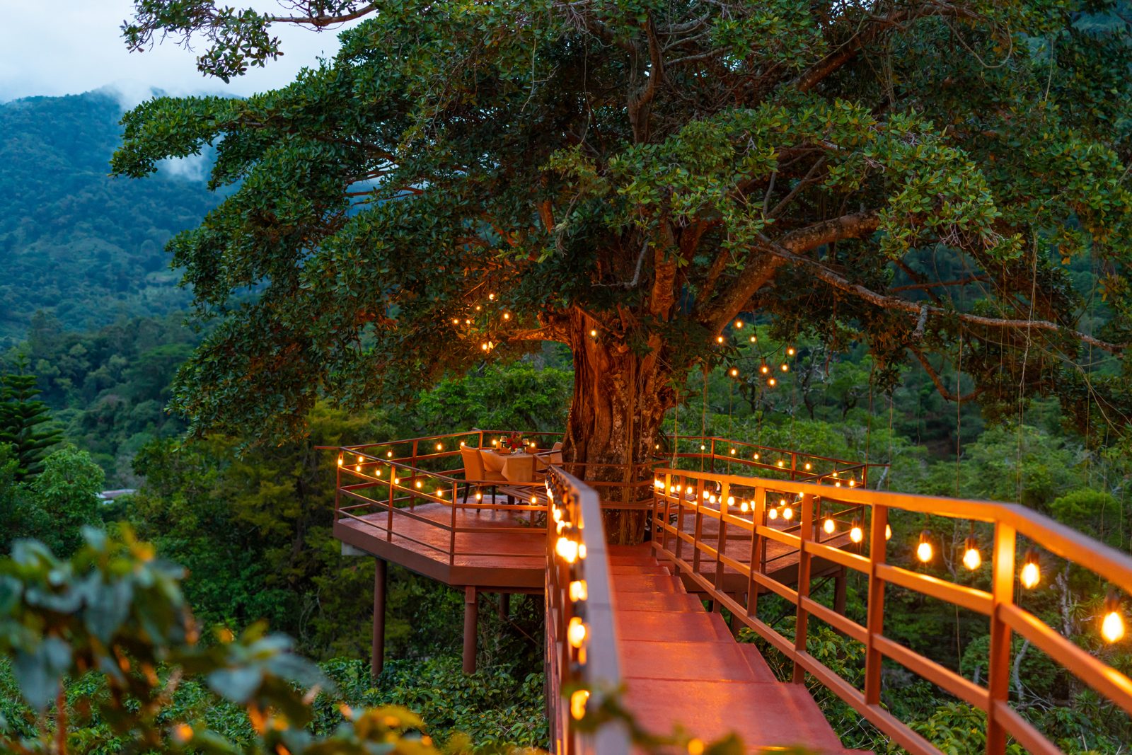 Lantern-lit treetop dining deck built around a giant tree at Los Establos
