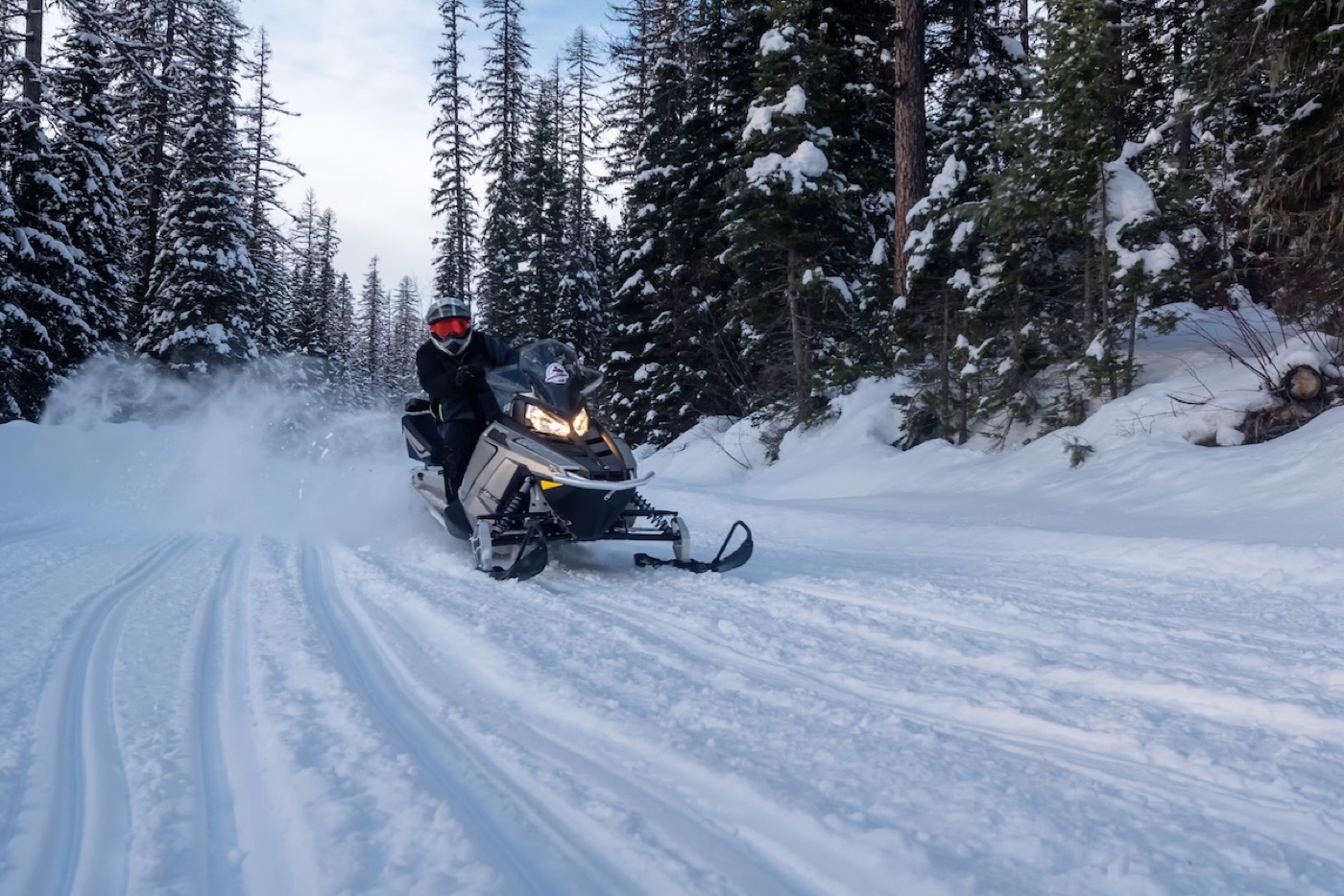 A snowmobiler carving up a snowy forest trail outside Whitefish